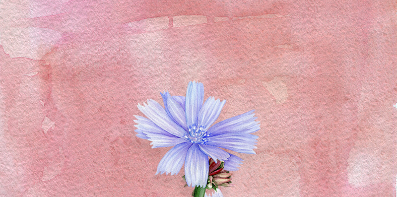 手绘花朵油画风背景素材psd设计背景_88icon https://88icon.com 油画风 手绘 素材 背景 花朵 H5 分层 清新