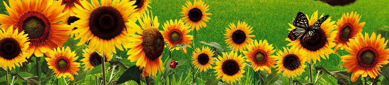 全民阅读psd设计背景_88icon https://88icon.com 全民阅读背景图片免费下载全民阅读 书本 海报 花朵 读书 全民阅读 背景