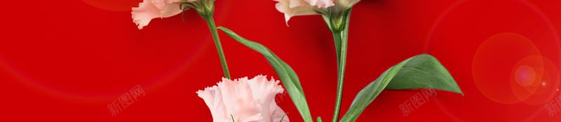 红色简约花朵母亲节海报jpg设计背景_88icon https://88icon.com 感恩母亲节 爱在母亲节 感怀母恩 红色背景 母亲节 爱的盛惠 母亲节大促销 花朵 鲜花