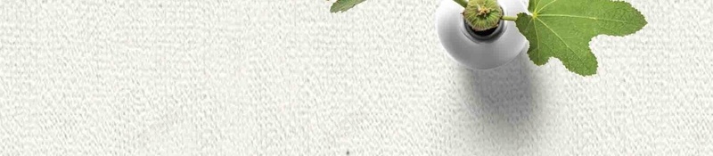 花朵浪漫母亲节贺卡背景psd设计背景_88icon https://88icon.com 母亲节 花卉 花朵 花草 花 花团锦簇 盛开 盛放 开花 鲜艳 感恩母亲节