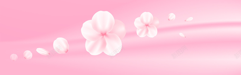粉红颜色的花朵背景bannerjpg设计背景_88icon https://88icon.com 海报banner banner 粉色花背景 粉色背景 文艺 小清新 简约