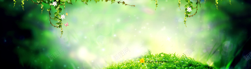 淘宝背景清新jpg设计背景_88icon https://88icon.com 春季新品 森林背景 蝴蝶 banner 春天 海报banner 文艺 小清新 简约