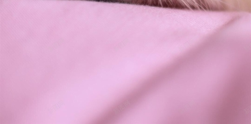 可爱仓鼠H5背景jpg设计背景_88icon https://88icon.com 仓鼠 萌 可爱 动物 彩色 H5背景 H5 h5 摄影 风景