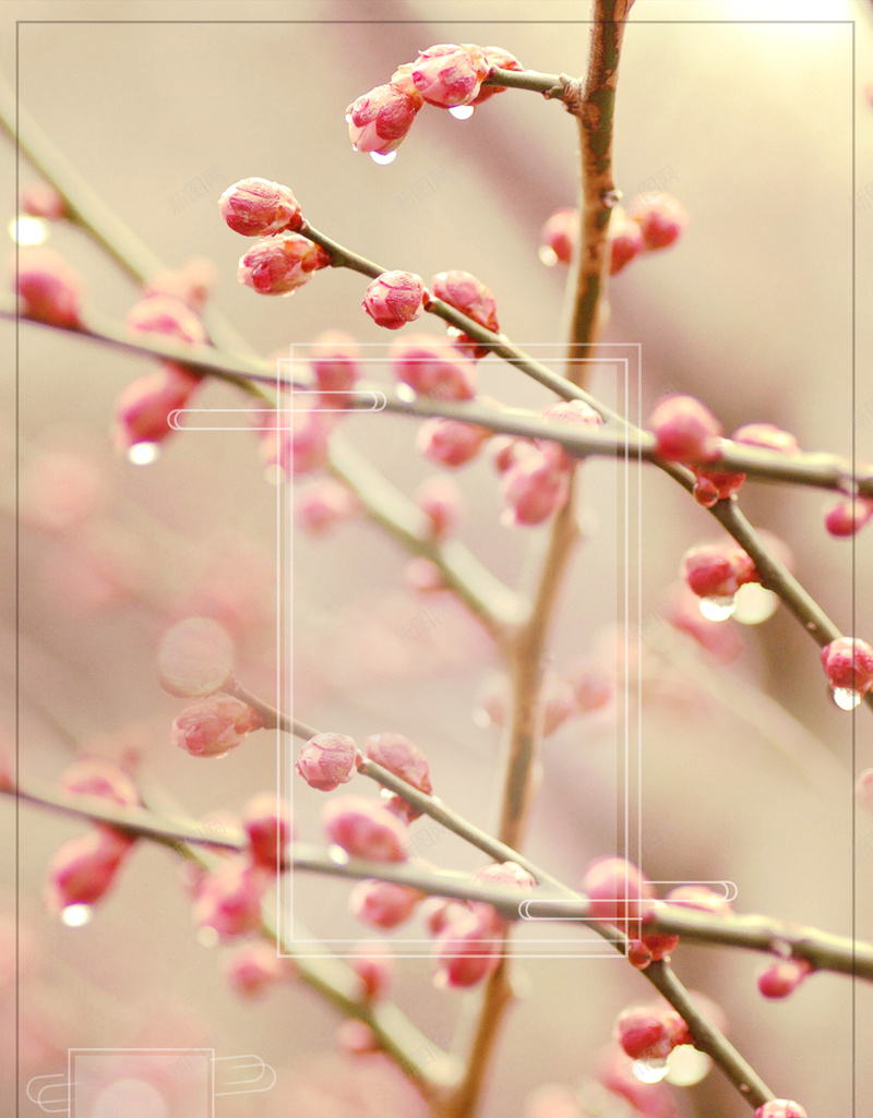 春季促销宣传海报jpg设计背景_88icon https://88icon.com 小清新 春天 立春 简约 节气 促销 宣传 海报 背景
