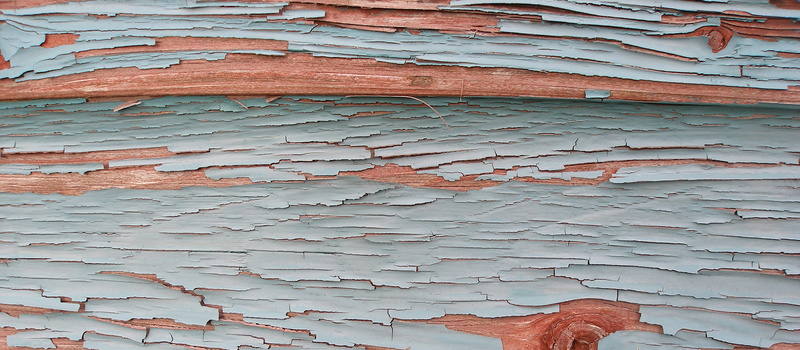 树皮表面带感艺术背景jpg设计背景_88icon https://88icon.com 树皮 白色 表面 质感 banner 美观 艺术 海报banner 纹理