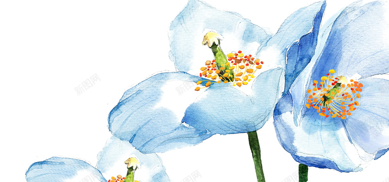 蓝色花纹背景psd设计背景_88icon https://88icon.com 海报banner 蓝色花纹背景 植物点缀 简单背景 浅色系 浅绿浅蓝白色为主 浪漫 梦幻