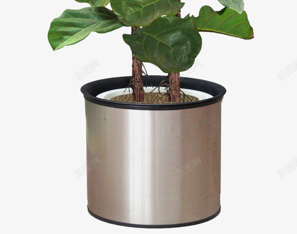 居家绿色植被盆栽png免抠素材_88icon https://88icon.com 居家 盆栽 绿色植物 植被 绿色