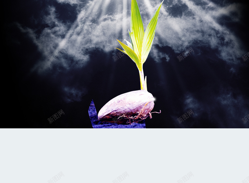 卡通种子发芽黑色背景素材psd设计背景_88icon https://88icon.com 卡通 种子发芽 黑色背景 天空 乌云 白云 阳光 童趣 简约 海报背景