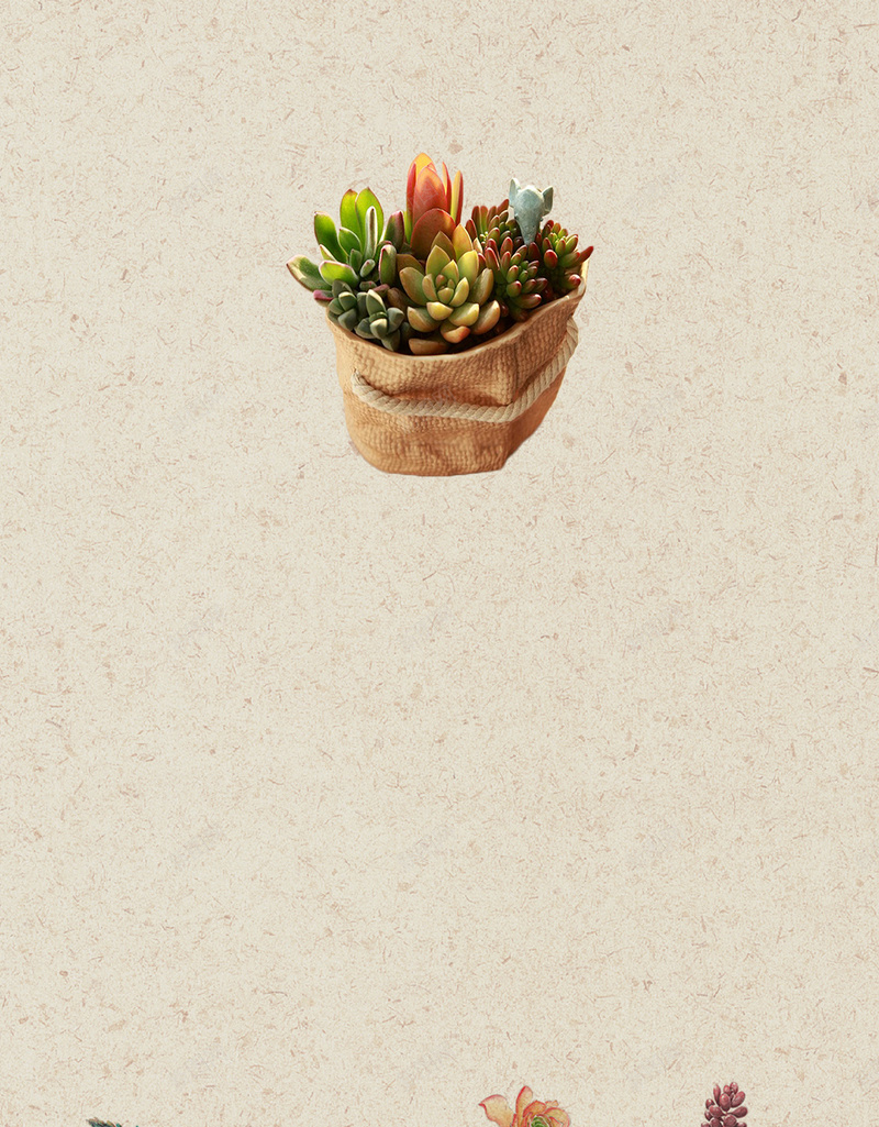 多肉植物广告背景素材psd设计背景_88icon https://88icon.com 多肉 广告 植物 素材 背景 质感 清新 文艺