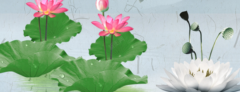廉政文化荷花展板背景jpg设计背景_88icon https://88icon.com 荷花 梅花 莲花 廉政 党建 高洁 中国风 清水 反腐 建党节 出淤泥而不染 廉洁 爱民