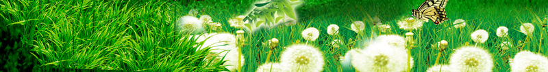 春季电动车展背景素材psd设计背景_88icon https://88icon.com 电动车 五莲 春季 环保 节能 春季电动车展 绿色 出行 海报设计 广告设计模板 绿人