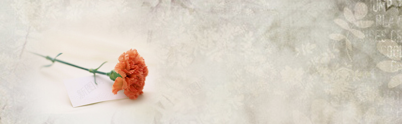 母情节康乃馨背景jpg设计背景_88icon https://88icon.com 海报banner 花纹背景 康乃馨 母情节