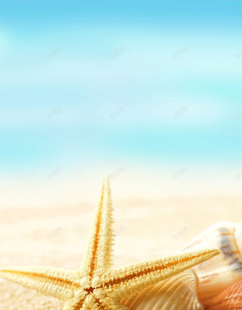 沙滩贝壳背景jpg设计背景_88icon https://88icon.com 沙滩 海域 海滩 背景 阳光 七角 贝壳 文艺 小清新 简约