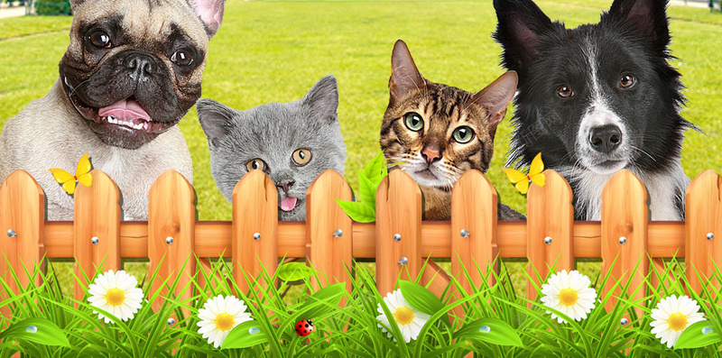 埃菲尔铁塔下的狗H5素材背景psd设计背景_88icon https://88icon.com 埃菲尔铁塔 动物 宠物 建筑 景点 狗 H5素材 PSD背景 天空 法国