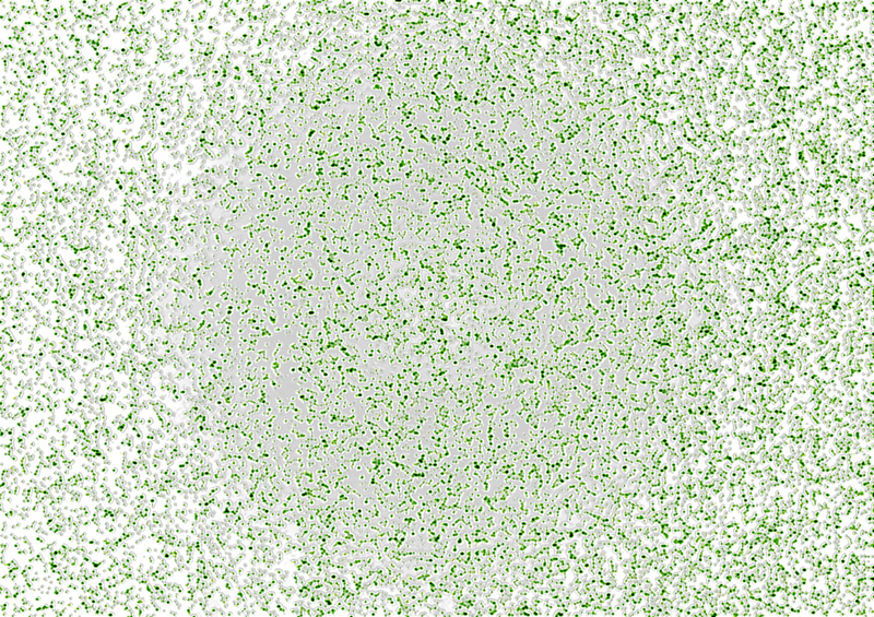 绿色泡沫图片psd设计背景_88icon https://88icon.com 绿色 绿色水滴 泡沫 泡沫效果 渐变色 设计 底纹边框 背景底纹