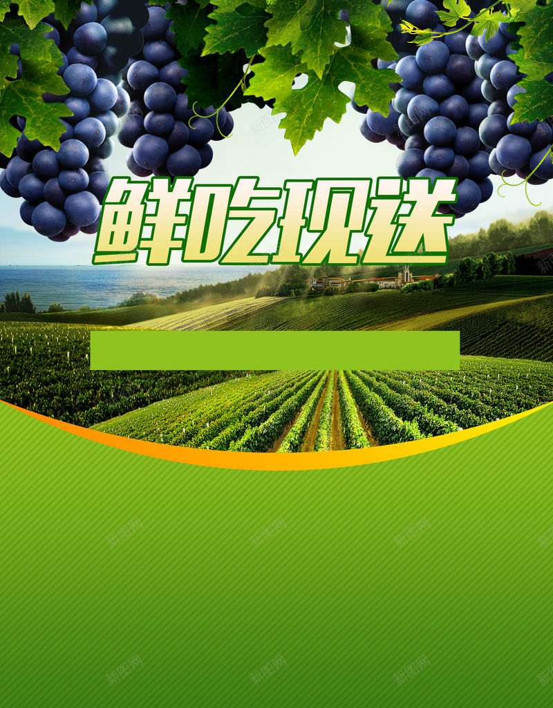 清新葡萄园葡萄宣传单背景素材psd设计背景_88icon https://88icon.com 背景水果 背景素材 葡萄水果葡萄园葡萄宣传单图片下载 水果葡萄园葡萄宣传单葡萄鲜吃现送
