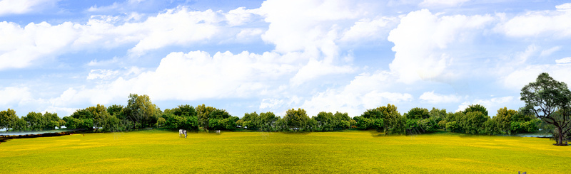 绿色草地环保banner背景jpg设计背景_88icon https://88icon.com 蓝天 白云 绿色 草地 环保 banner背景