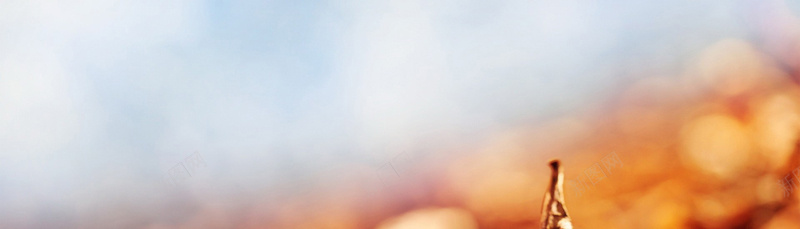 珠宝饰品眼镜手机数码电脑办公大家电jpg设计背景_88icon https://88icon.com 珠宝饰品 眼镜手机 数码 海报banner 文艺 电脑办公大家电 小清新 简约