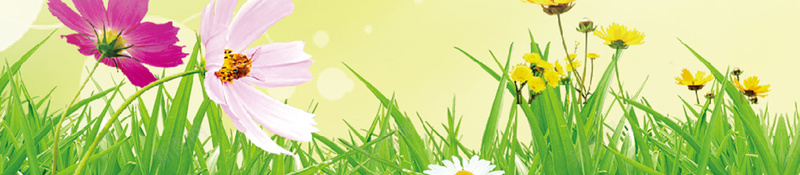 百姓药房关爱健康在行动展板背景素材psd设计背景_88icon https://88icon.com 在行动 健康 关爱 百姓 药房 百姓药房关爱健康在行动图片下载 鹿龟酒 清新