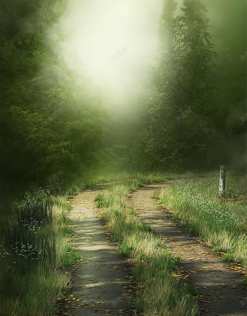 魔幻绿色森林背景jpg设计背景_88icon https://88icon.com 梦幻 森林 浪漫 绿色 魔幻