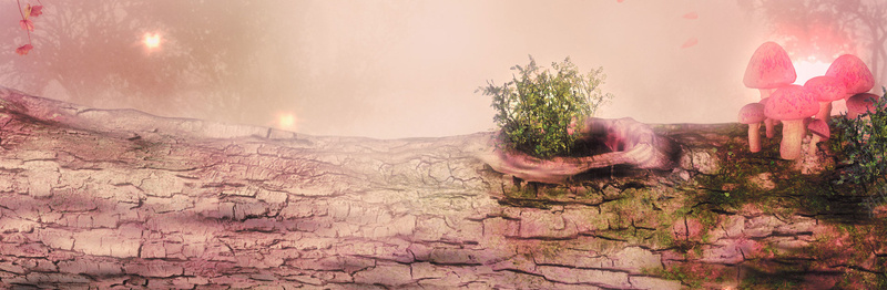 卡通梦幻树枝蘑菇背景bannerpsd设计背景_88icon https://88icon.com 卡通 树枝 梦幻 背景 蘑菇 banner 海报banner 童趣 手绘