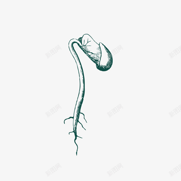 种子即将发芽手绘素材图案ai免抠素材_88icon https://88icon.com 发芽 种子 生根 秋分 秋收 秋种 秋季 秋天 线条 纹路 质感 矢量 手绘 装饰