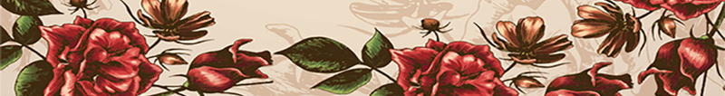 秋装盛宴狂欢文艺背景jpg设计背景_88icon https://88icon.com 文艺 新品 狂欢 秋季 花卉 蝴蝶白色 小清新 简约