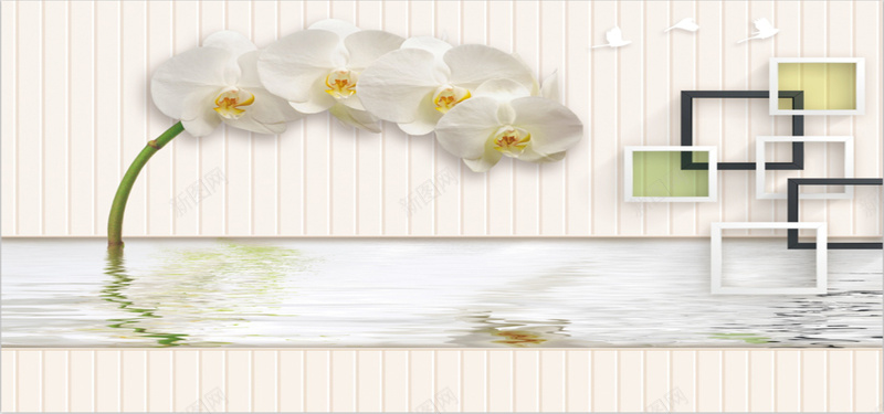 淡雅的蝴蝶兰背景图jpg设计背景_88icon https://88icon.com 白色花 蝴蝶兰 大气 淡雅 简约 鸟 方框 水纹 倒影 海报banner