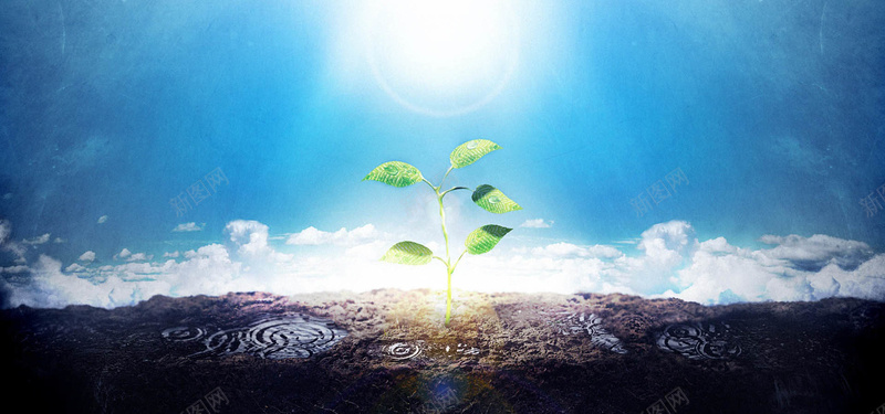 环保主题发芽素材jpg设计背景_88icon https://88icon.com 发芽 土地 环保 白云 蓝天 阳光 海报banner 科技 科幻 商务