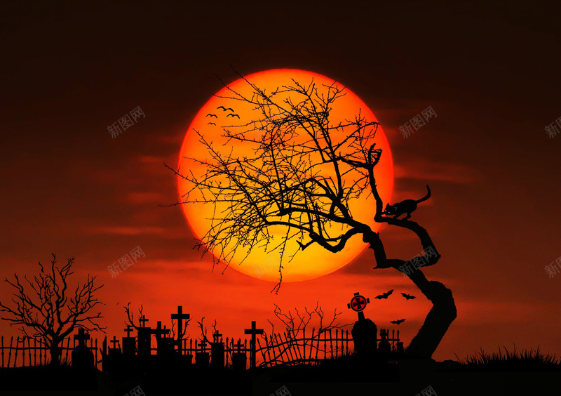 夕阳下墓地照明背景素材jpg设计背景_88icon https://88icon.com 夕阳背景 傍晚 墓地 夕阳 恐怖 墓地剪影 背景 素材 背景素材