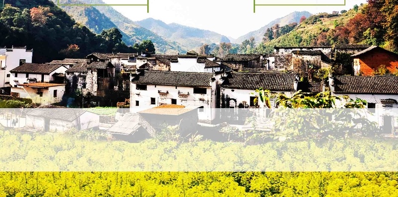 婺源时光旅游海报背景模板jpg设计背景_88icon https://88icon.com 旅游 海报 背景 旅行 旅行社 婺源时光 风景名胜 活动 宣传 展板