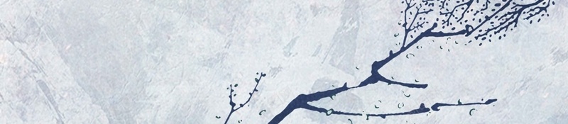 中国二十四节气霜降宣传jpg设计背景_88icon https://88icon.com 中国二十四节气霜降