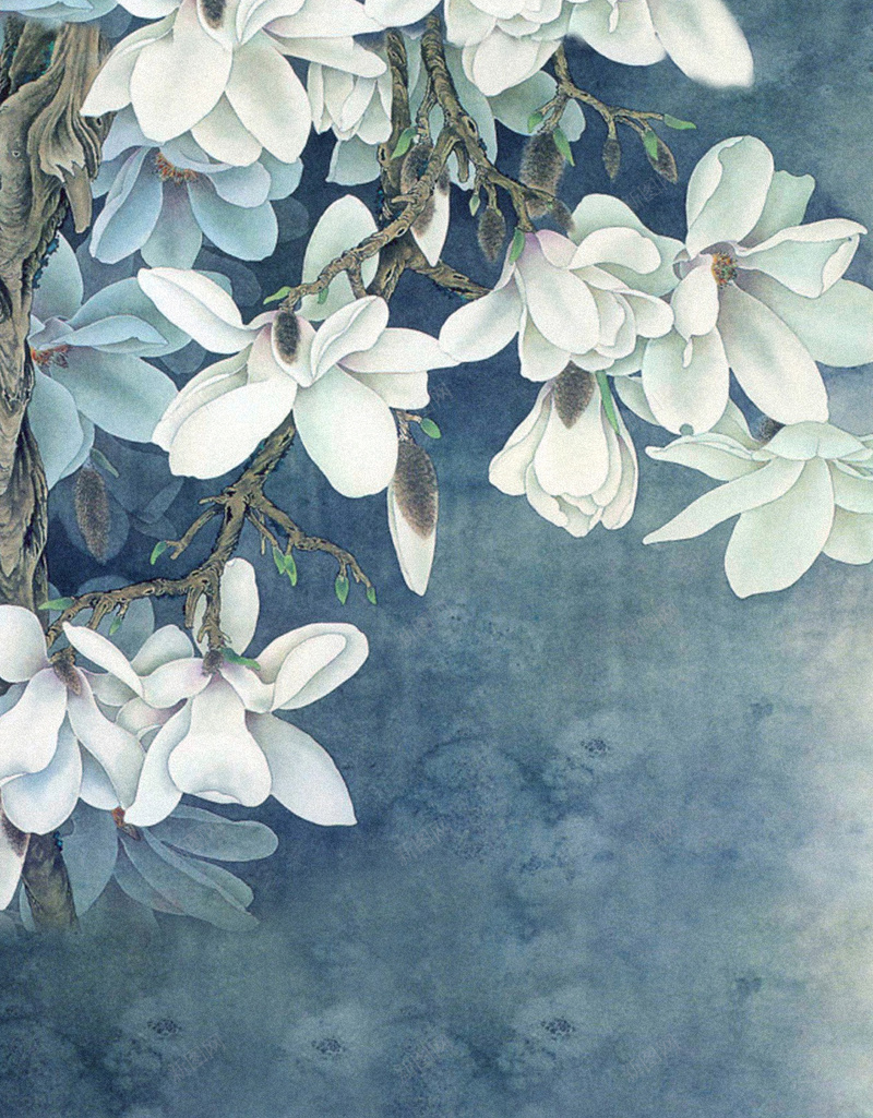 白色花卉H5背景jpg设计背景_88icon https://88icon.com 花卉 白色 女装 清新 文艺 H5背景 H5 h5 小清新 简约