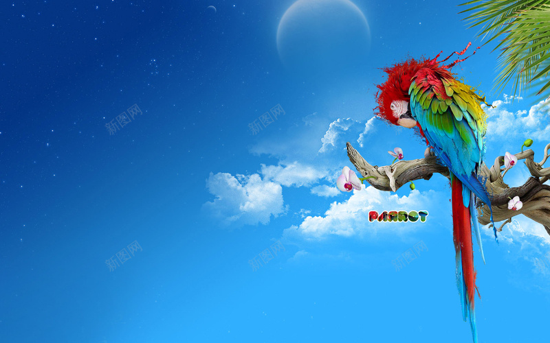 蓝天鹦鹉背景jpg设计背景_88icon https://88icon.com 蓝天 鹦鹉 创意 质感 纹理