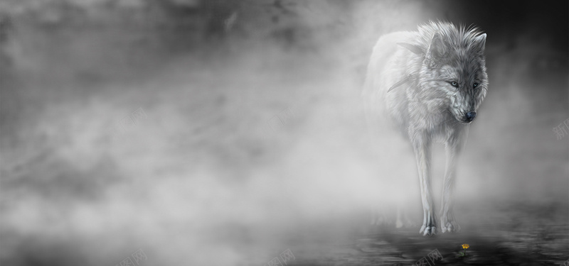 雾中的一匹狼jpg设计背景_88icon https://88icon.com 狼 雾 海报banner 科技 科幻 商务