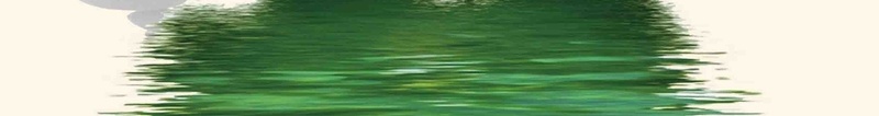 养生藕汤美食海报背景模板psd设计背景_88icon https://88icon.com 美食 海报 背景 养生汤 中国风 养生藕汤 荷叶 莲藕 美味