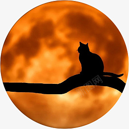 月亮下孤独的猫png免抠素材_88icon https://88icon.com 月亮 猫咪 孤独 月光 猫 宠物