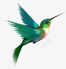 鸟动物飞鸟小鸟png免抠素材_88icon https://88icon.com 鸟 动物 飞鸟 小鸟1