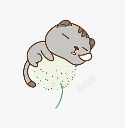 蒲公英上睡觉喵png图片下载 蒲公英上睡觉喵素材