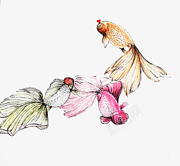 国画写意的金鱼素材png免抠素材_88icon https://88icon.com 金鱼 观赏鱼 国画 素材 传统 美术 写意