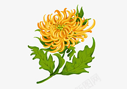 手绘植物水彩风一朵菊花卡通psd免抠素材_88icon https://88icon.com 手绘 植物 水彩风 一朵菊花 卡通