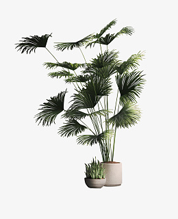 植物大冒险盆栽png免抠素材_88icon https://88icon.com 植物 盆栽 树 氧
