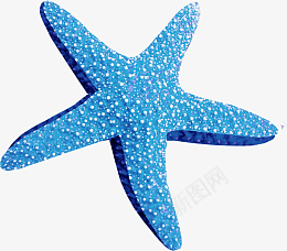 蓝色可爱海星png免抠素材_88icon https://88icon.com 大海 蓝色 海星 可爱