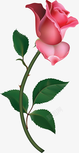 免抠一朵红色玫瑰花素材png免抠素材_88icon https://88icon.com 一朵 红色 玫瑰 花