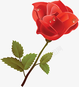 红色绿叶玫瑰花png免抠素材_88icon https://88icon.com 红色 绿 叶 玫瑰花