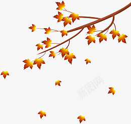 秋天手绘树叶枫叶png免抠素材_88icon https://88icon.com 秋天 手绘 树叶 枫叶