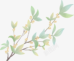 手绘小清新桂花免扣元素png免抠素材_88icon https://88icon.com 手绘 桂花 水彩花 植物手绘 小清新
