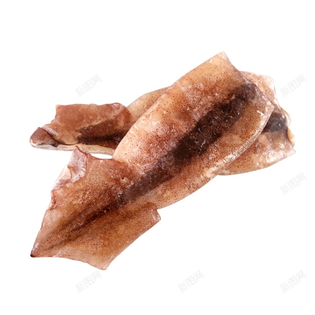 枪乌贼鱿鱼png免抠素材_88icon https://88icon.com 枪乌贼 鱿鱼