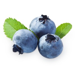 越橘蓝色浆果蓝莓blueberry的复数png图片下载 越橘蓝色浆果蓝莓blueberry的复数素材
