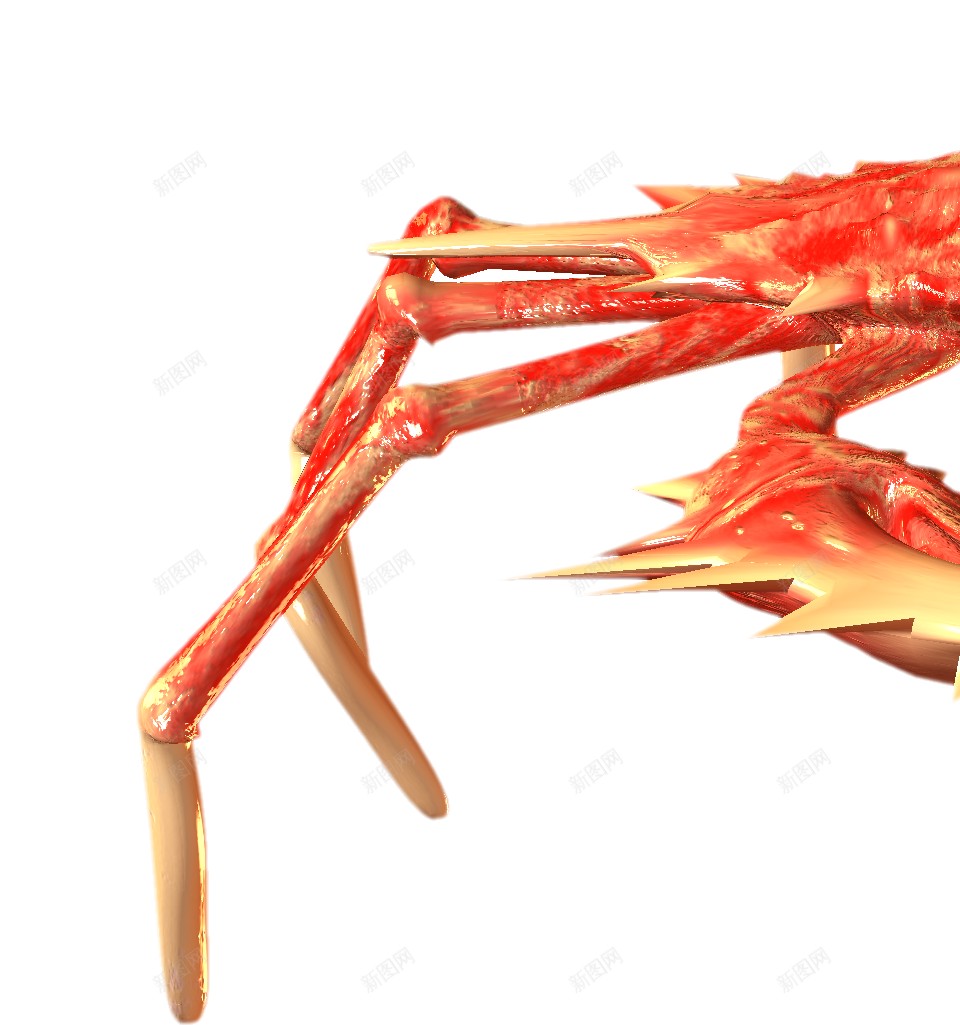 蟹螃蟹png免抠素材_88icon https://88icon.com 螃蟹 蟹